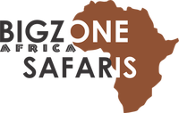  Bigzone Safaris Africa Limited