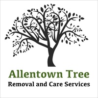 Local Business Allentown Tree Removal and Care Services in Allentown PA