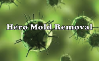 Hero Mold Removal - Norfolk