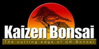 Local Business Kaizen Bonsai in Great Yarmouth England