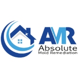 Local Business Absolute Mold Remediation Ltd. in Hamilton 