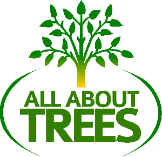 All About Trees