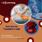 Bone Marrow Transplant In India