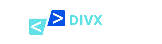 DIVX CONSULTANTS