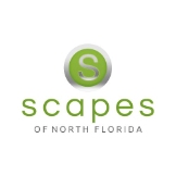 Scapes of North Florida