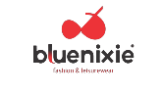 Local Business Bluenixie in Lucknow, Uttar Pradesh-  India. 