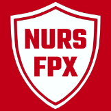 Local Business NURSFPX in  