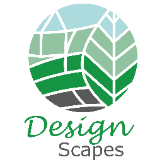 Local Business Design Scapes in Lara 