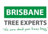 Local Business Brisbane Tree Experts in Street Brisbane 