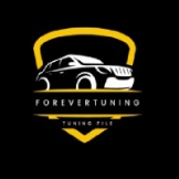 Local Business TuningForever in  