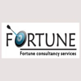 Local Business Fortune Visa Services in  