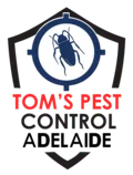 Local Business Termite Control Adelaide | Tom's Pest Control Adelaide in Adelaide 