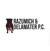 Local Business Razumich & Associates, P.C. in  