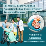 Cheap Cost of Kidney Transplant Surgery in India