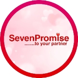 Local Business Seven Promise in Hisar 