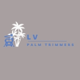 Local Business LV Palm Trimmers in Las Vegas, NV 