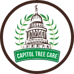 Capitol Tree Care