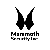 Mammoth Security Inc. New Britain