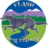 Flash Dog Training Broomfield Colorado