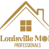 Mold Solutions of Louisville