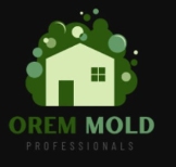 Orem Mold Removal Solutions