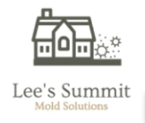 Mold Removal Lees Summit Solutions