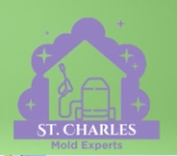 Local Business St Charles Mold Removal Solutions in Charles 