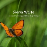 Local Business Gloria  Waite in Pennsylvania 