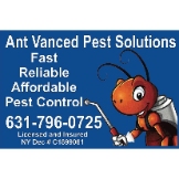 Local Business Ant Vanced pest solutions llc in New York, USA 