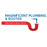 Magnificent Plumbing