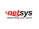 Netsys-America, LLC