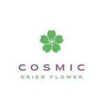 cosmicdriedflower