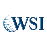 WSI-Optimized Web Solutions