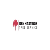 Local Business Ben Hastings Tree Service in Erina, New South Wales 