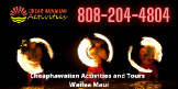 Cheaphawaiian Activities and Tours Wailea