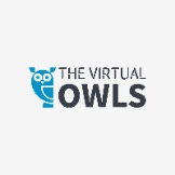 The Virtual Owls