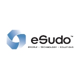 Local Business eSudo Technology Solutions in  