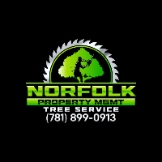 Local Business Norfolk Property Tree Service in Waltham, Massachusetts 