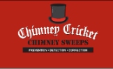 Chimney Cricket Chimeny Sweeps