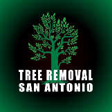 Tree Removal San Antonio