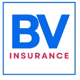 Local Business BV Insurance in  