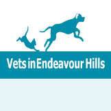 Local Business Vets In Endeavour Hills in Endeavour Hills, VIC 