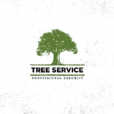 Tree Service Company Austin