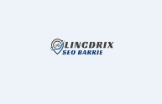 Local Business Lincdrix SEO in Barrie, ON L4M 3P8 