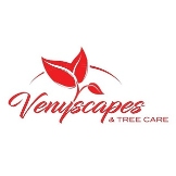 Venyscapes