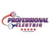 Professional Electric