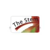 Local Business The Stem Group in  