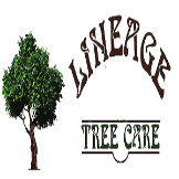 Lineage Tree Care LLC