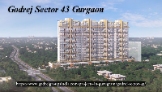 Local Business Godrej Sector 43 Gurgaon in Gurgaon 