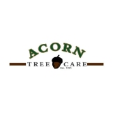 Acorn Tree Care